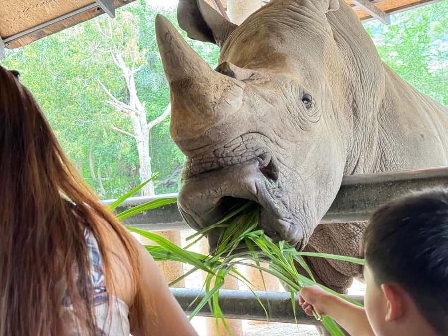 Bangkok: Elephant Sanctuary &Khao Kheow Open Zoo (Moodeng) - Moose Garden, giraffes, and the giant aviary