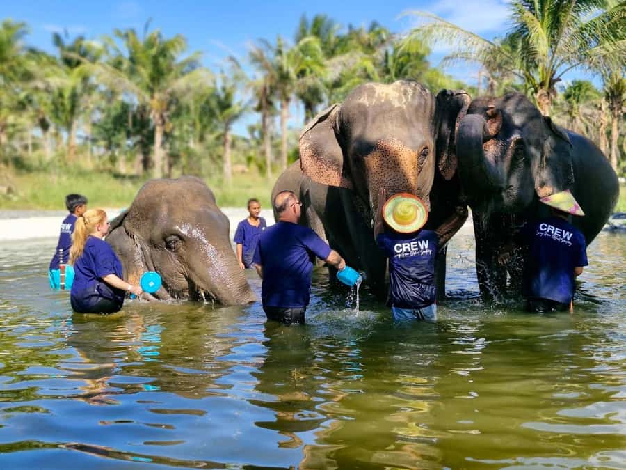 Bangkok: Elephant Sanctuary &Khao Kheow Open Zoo (Moodeng) - Morning with elephants at the sanctuary