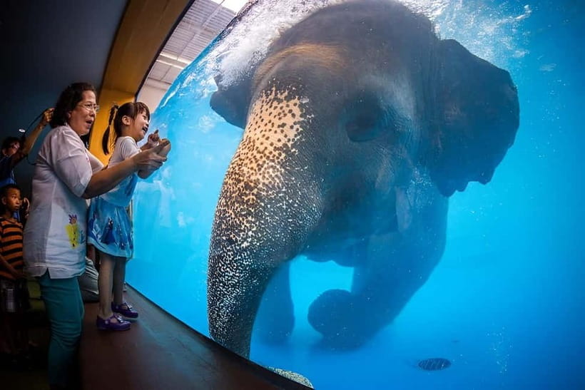 Bangkok/Pattaya: Khao Kheow Zoo Private Tour with Pickup - Why Khao Kheow makes a good half-day outing