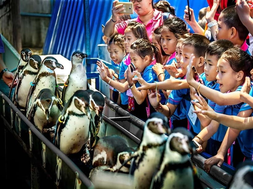 Bangkok/Pattaya: Khao Kheow Zoo Private Tour with Pickup - Meeting Moo Daeng and seeing the animals