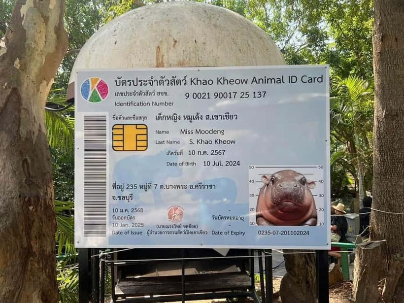 Bangkok/Pattaya: Khao Kheow Zoo Private Tour with Pickup - The driver makes or breaks the day