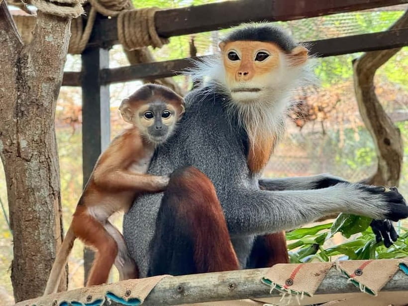 Bangkok/Pattaya: Khao Kheow Zoo Private Tour with Pickup - How to plan your six hours
