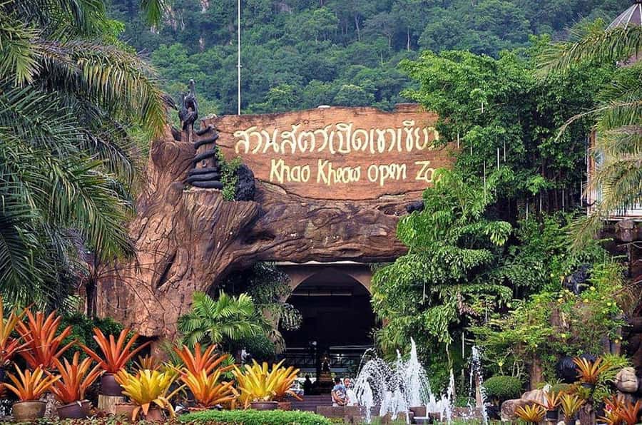 Bangkok to Moo Deng: Private Transfer To Khao Kheow Zoo - What the Private Driver Adds