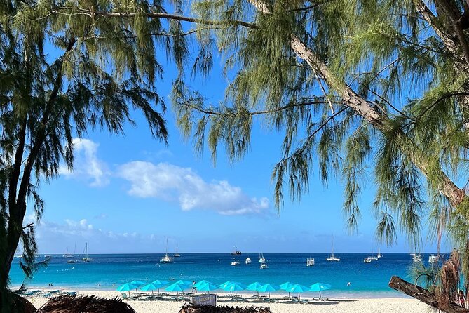 Barbados Shore Excursion: Wildlife Encounter and Beach Day - Garrison Savannah and Barbados history