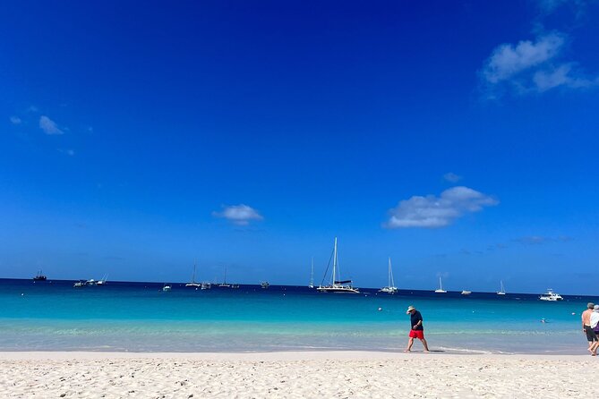 Barbados Shore Excursion: Wildlife Encounter and Beach Day - Is $78 a fair price?