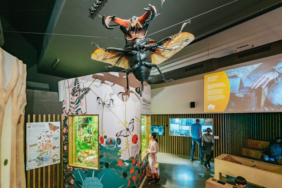 Barcelona: 1-Day Ticket to Barcelona Zoo - A walk through more than 400 species