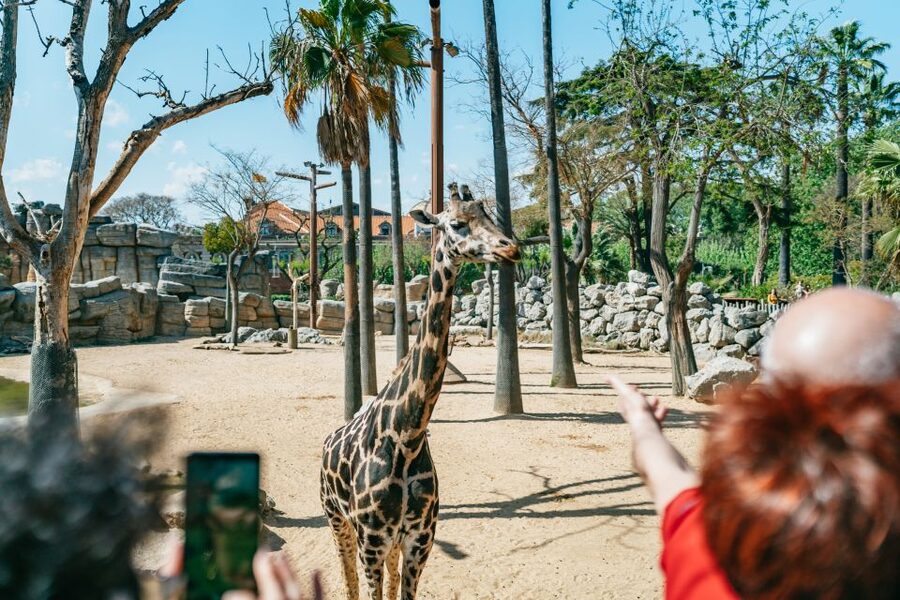 Barcelona: 1-Day Ticket to Barcelona Zoo - How long should you spend inside?