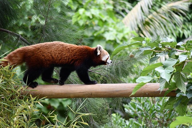 Barcelona Zoo Entrance Ticket - A zoo day in the heart of Barcelona