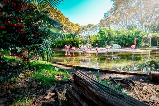 Barcelona Zoo Entrance Ticket - What you see across the 13 hectares