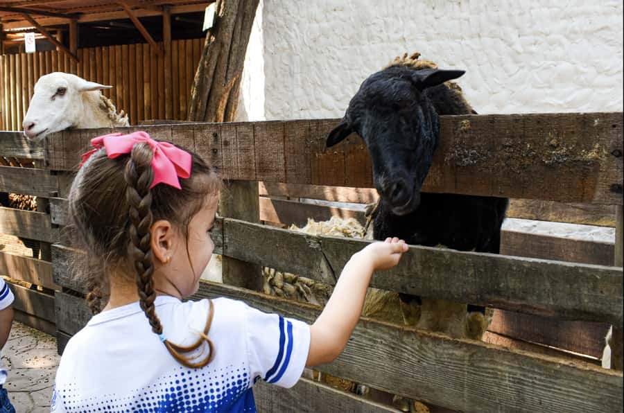 Barranquilla Zoo Access Ticket - Meeting native species from Colombia’s Caribbean region