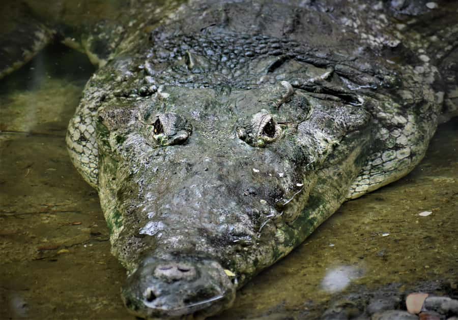 Barranquilla Zoo Access Ticket - Is the $11 ticket good value?