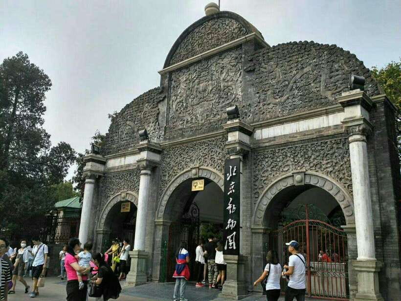 Beijing: The Beijing Zoo Entry Ticket with Pandas - A practical three-hour route through the zoo