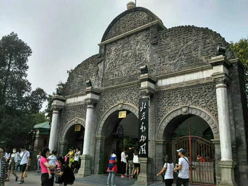 Beijing: The Beijing Zoo Entry Ticket with Pandas - Food, seating, and small comforts