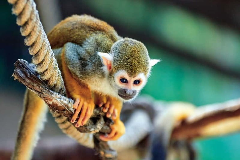 Benidorm: Mundomar Animal Park Entrance Ticket - Food, photographs, and other costs