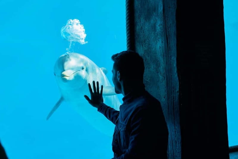 Benidorm: Mundomar Animal Park Entrance Ticket - Who will enjoy Mundomar most