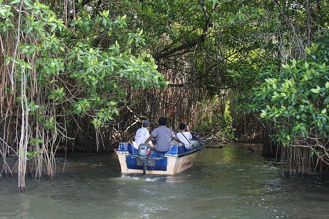 Bentota River Safari By BTM (Mangrove & Wildlife Encounter) - Weather and the Limits of Wildlife Viewing