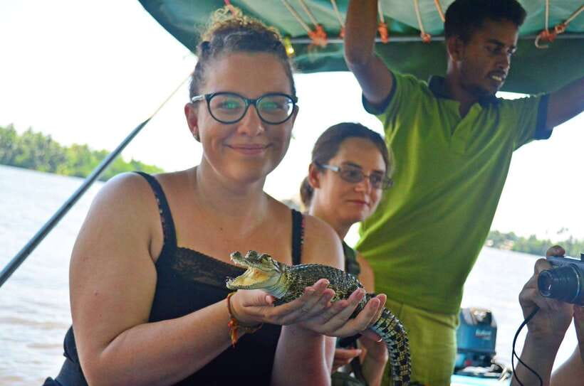 Bentota River Safari with Mangrove and Wildlife Encounter - Two hours of river and mangrove wildlife