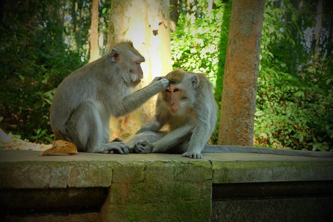 Best of Bali Half Day Tour: Monkey Forest & Tanah Lot Sunset (All Inclusive) - Tanah Lot: two hours for Bali’s famous sunset