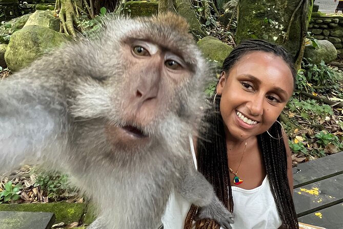 Best of Ubud : Elephant Cave Temple, Monkey forest, Rice Terrace - Meeting Bali’s artists at Dewa Putu Toris