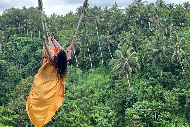 Best of Ubud : Elephant Cave Temple, Monkey forest, Rice Terrace - Seeing the stepped fields at Tegalalang Rice Terrace