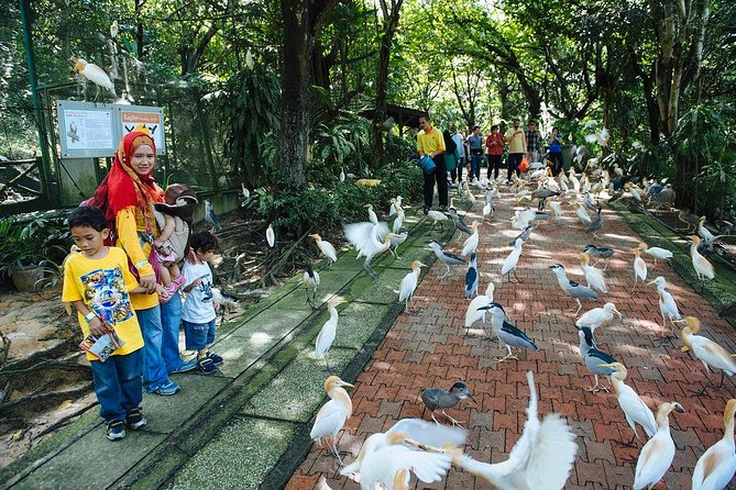 Bird Park & Butterfly Farm Nature Include All Entrance Tour From Kuala Lumpur - Private transport is the real convenience