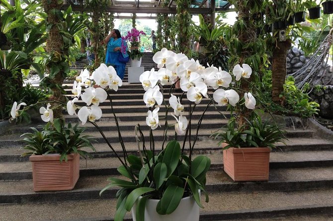 Bird Park & Butterfly Farm Nature Include All Entrance Tour From Kuala Lumpur - Who should book this half-day outing?