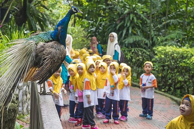 Bird Park & Butterfly Farm Nature Tour From Kuala Lumpur - Free-flying birds at Kuala Lumpur Bird Park