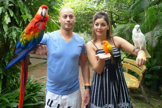 Bird Park & Butterfly Farm Nature Tour From Kuala Lumpur - Taman Orkid and its 800 orchid varieties
