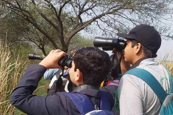 Bird Watching at Nandur Madhyameshwar Wildlife Sanctuary Nashik - Key points to know before you book