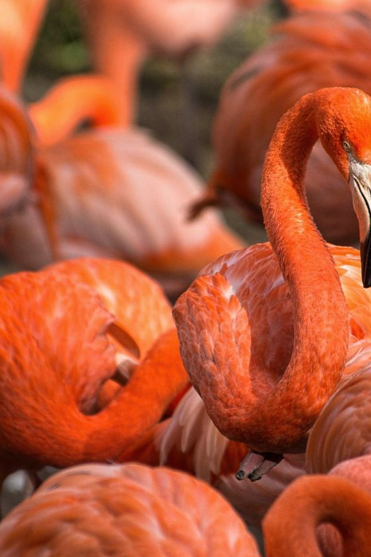 Blackpool: Zoo Admission Ticket - Why Blackpool Zoo works so well for a full day