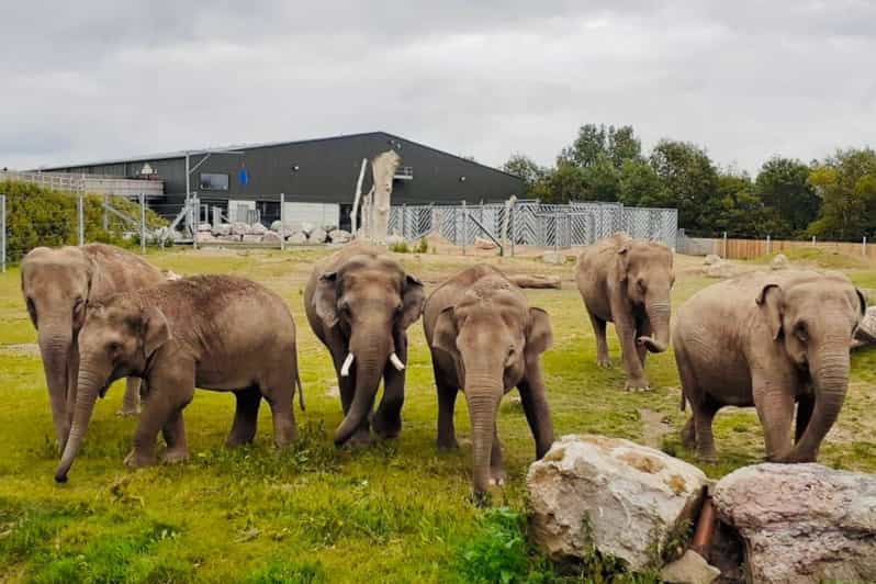 Blackpool: Zoo Admission Ticket - Start with Dinosaur Safari and prehistoric creatures