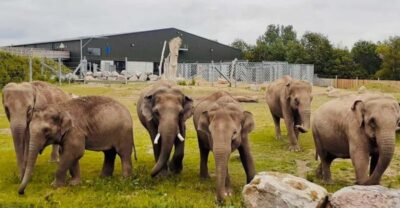 Blackpool: Zoo Admission Ticket