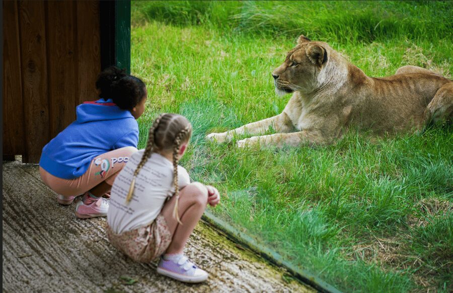 Blackpool: Zoo Admission Ticket - Who will enjoy Blackpool Zoo most