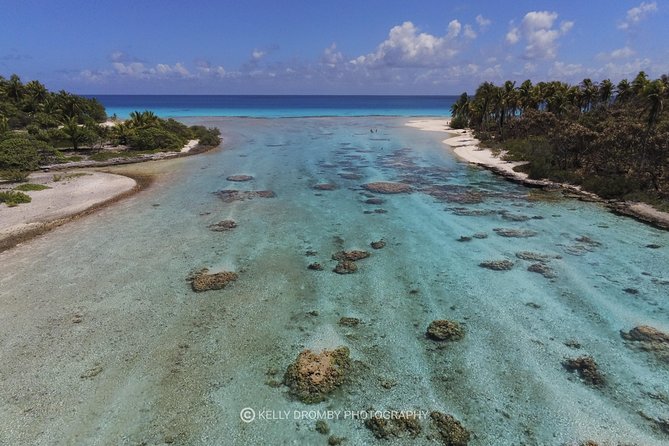 Blue Lagoon - PRIVATE ISLAND Pink sand beach and wildlife reserve - Bird island adds a different kind of wildlife