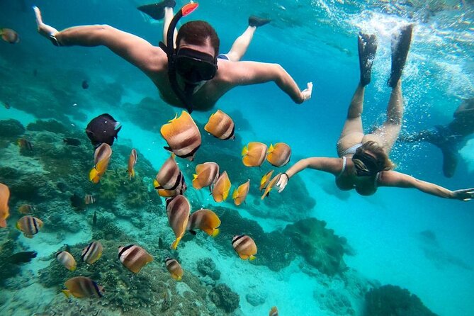 Blue Lagoon Snorkeling and Lunch - Ubud Monkey Forest - Waterfall - Blue Lagoon and Tanjung Jepun snorkeling