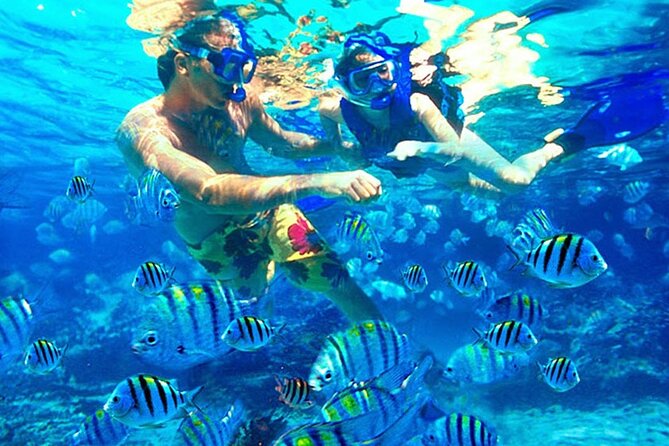 Blue Lagoon Snorkeling and Lunch - Ubud Monkey Forest - Waterfall - Finishing at Ubud Monkey Forest