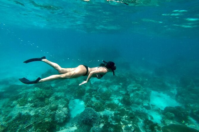 Blue Lagoon Snorkeling and Lunch - Ubud Monkey Forest - Waterfall - What the $48 price covers