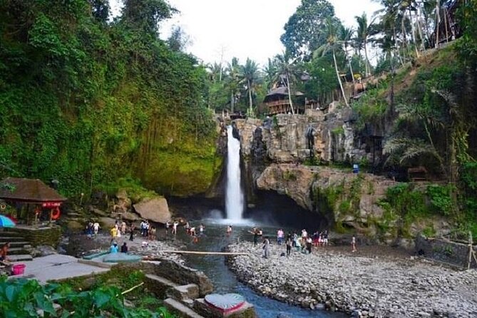 Blue Lagoon Snorkeling and Lunch - Ubud Monkey Forest - Waterfall - My call: book it for variety, not a slow day