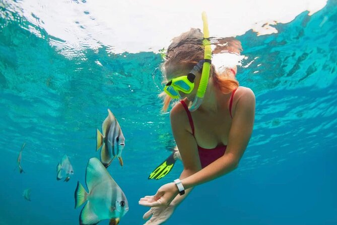 Blue Lagoon Snorkeling and Lunch - Ubud Monkey Forest - Waterfall - Kanto Lampo Waterfall after the sea