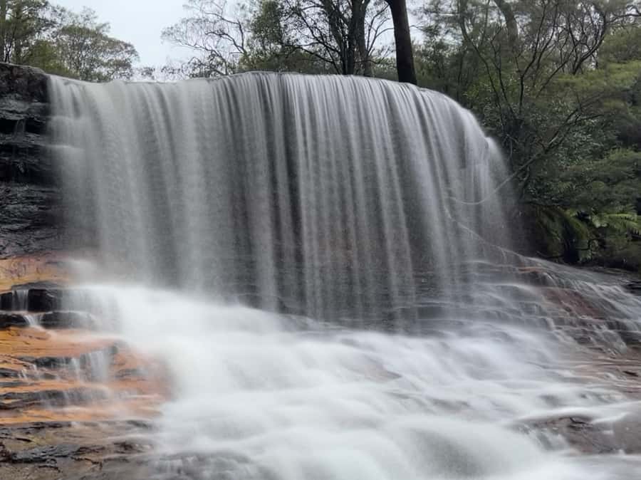 Blue Mountains day tour with Cruise, Scenic world pass & Zoo - A short bushwalk to Wentworth Falls or Bridal Veil Falls