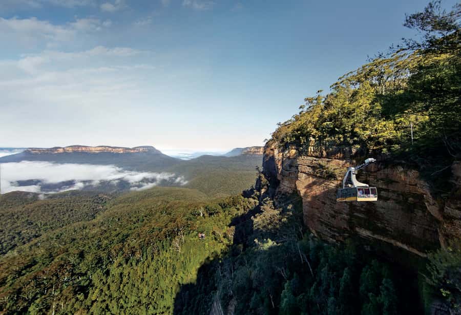 Blue Mountains day tour with Cruise, Scenic world pass & Zoo - The ferry back to Circular Quay