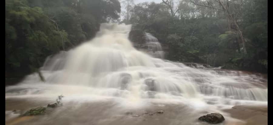 Blue Mountains day tour with Cruise, Scenic world pass & Zoo - Kings Tableland or Evans Lookout