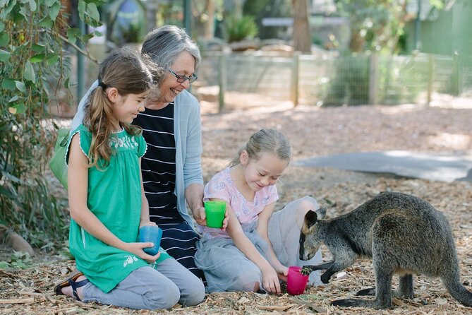 Blue Mountains Day Tour with Scenic World and Wildlife Park Entry - Scenic World: three rides and a tight clock