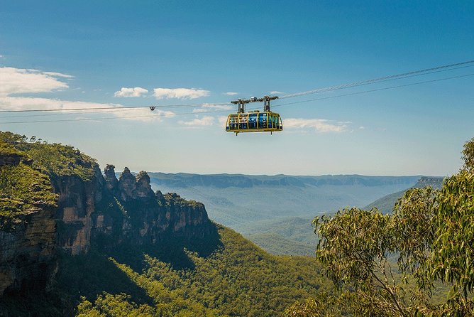 Blue Mountains Highlights, Wildlife Park and Scenic World Full Day Private Tour - From koalas to sandstone cliffs in one long day