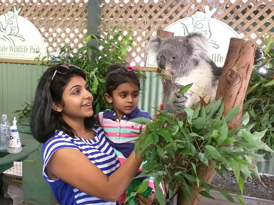 Blue Mountains private tour with Featherdale Wildlife Park - Lincoln’s Rock and the Jamieson Valley