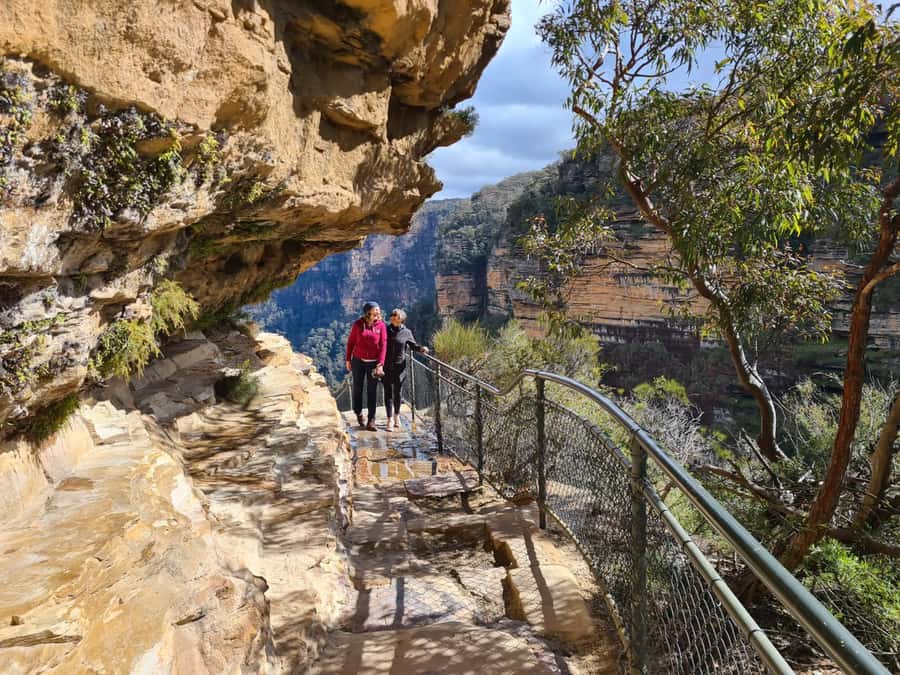 Blue Mountains private tour with Featherdale Wildlife Park - Katoomba and Scenic World