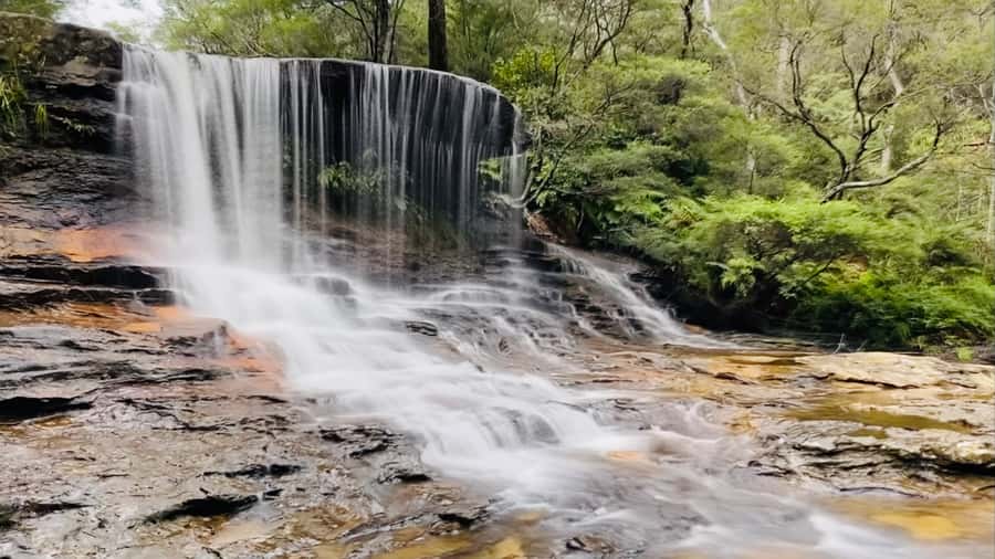 Blue Mountains private tour with Featherdale Wildlife Park - Featherdale Wildlife Park before the crowds