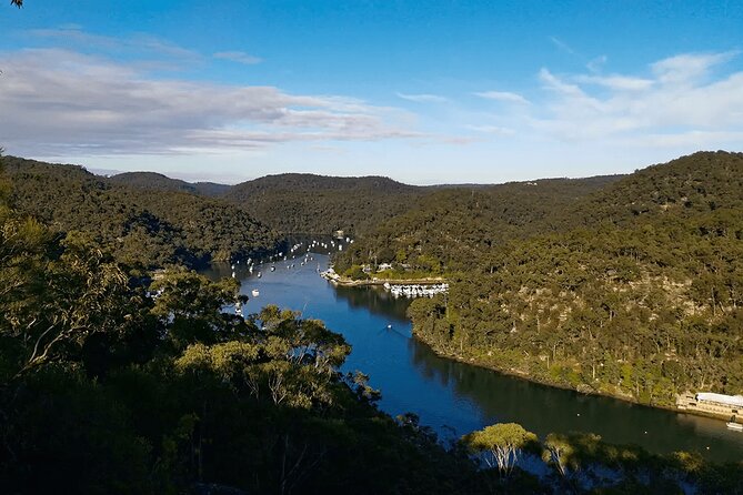 Blue Mountains Small Group Tour with Lunch, Zoo and Scenic World - What the $204.41 price covers