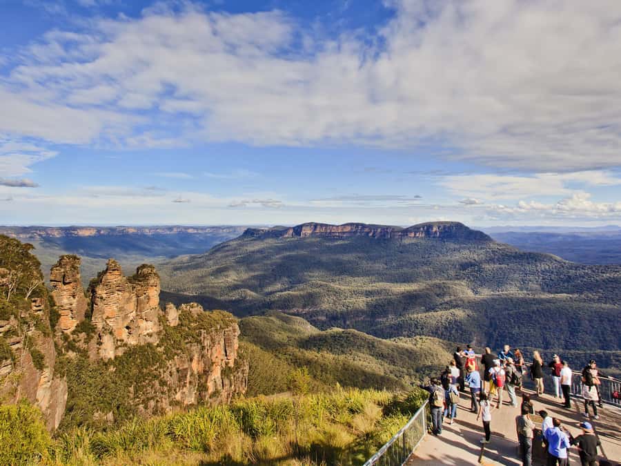 Blue Mountains Tour w/Lunch: Scenic World, Zoo & Koala Photo - Why this Blue Mountains day works