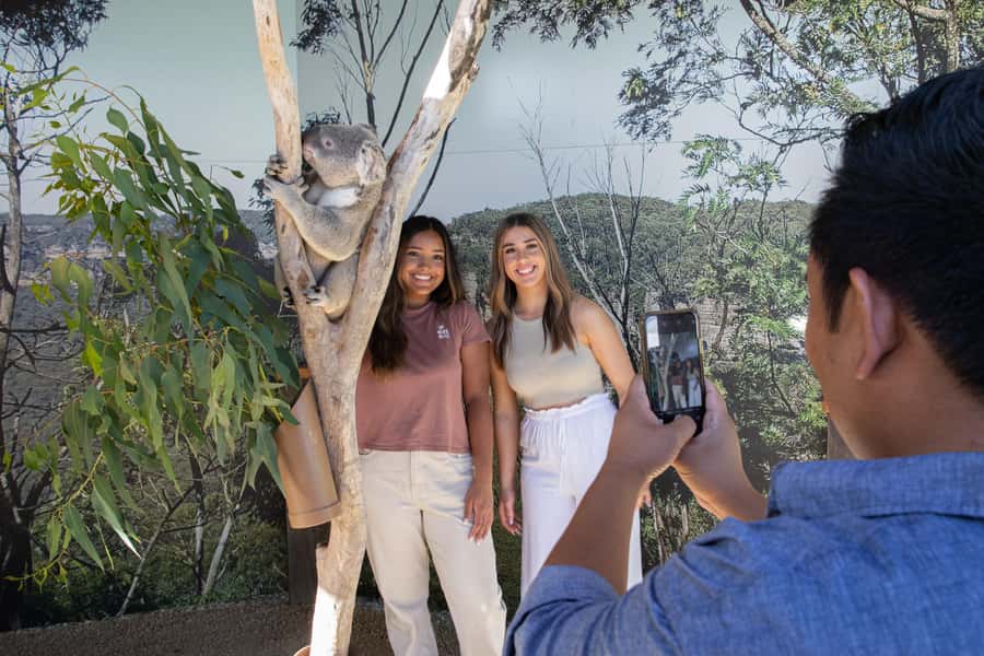 Blue Mountains Tour w/Lunch: Scenic World, Zoo & Koala Photo - Scenic World supplies the day’s thrills